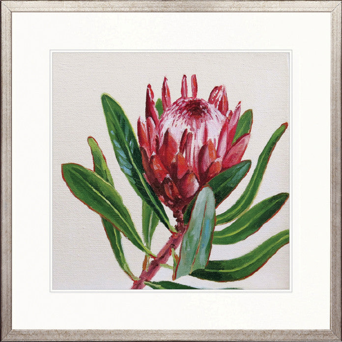 Australian Native I
