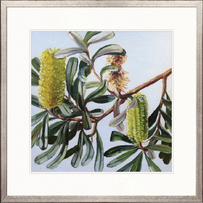 Australian Native VI