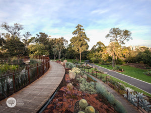 Royal Botanic Gardens Victoria