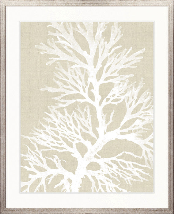 Seaweed Harmony II