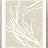 Seaweed Harmony IV