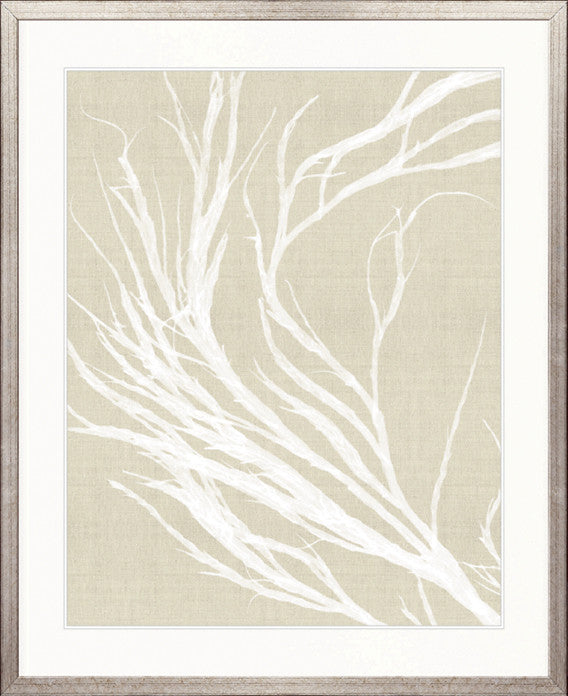 Seaweed Harmony IV