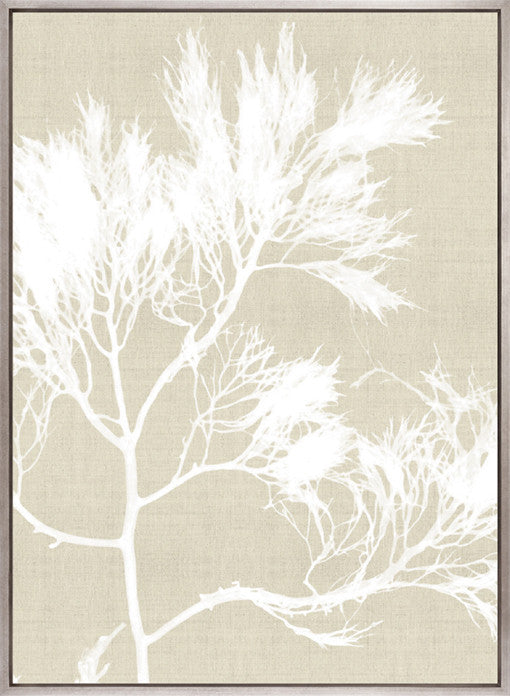 Seaweed Harmony V (Canvas)