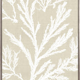 Seaweed Harmony VI (Canvas)