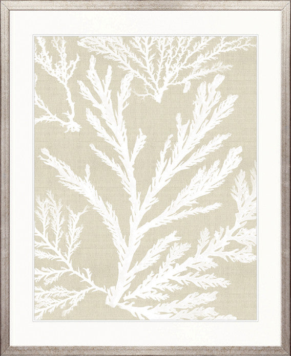 Seaweed Harmony VI