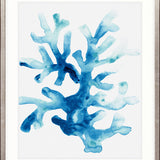 Sea Life I