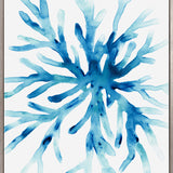 Sea Life II (Canvas) Large (903mm W x 1109mm H)