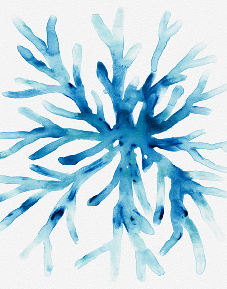 Sea Life II (Canvas)