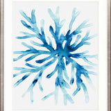 Sea Life II