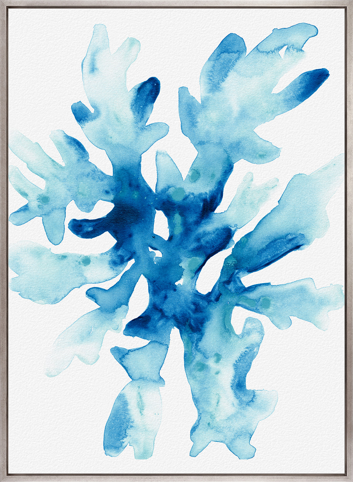 Sea Life III (Canvas)