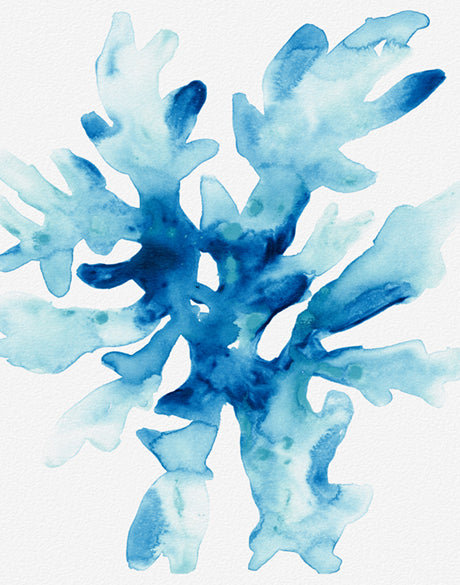 Sea Life III (Canvas)