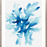 Sea Life III