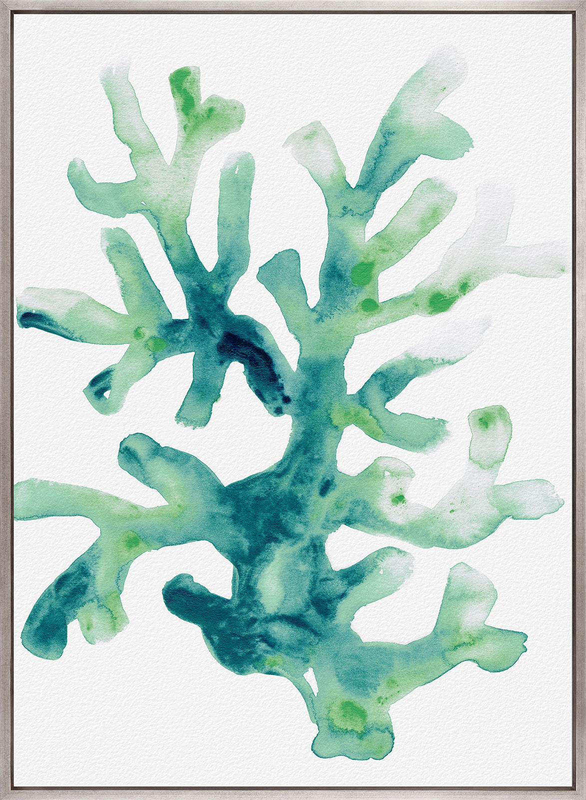 Sea Life IV (Canvas)