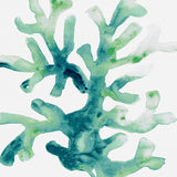 Sea Life IV (Canvas) Large (903mm W x 1109mm H)