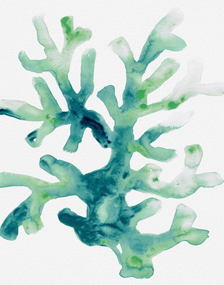 Sea Life IV (Canvas)