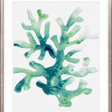 Sea Life IV