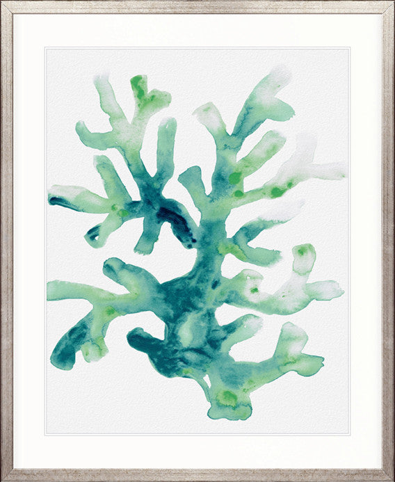 Sea Life IV