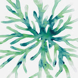 Sea Life V (Canvas) Large (903mm W x 1109mm H)