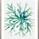 Sea Life V