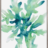 Sea Life VI (Canvas) Large (903mm W x 1109mm H)