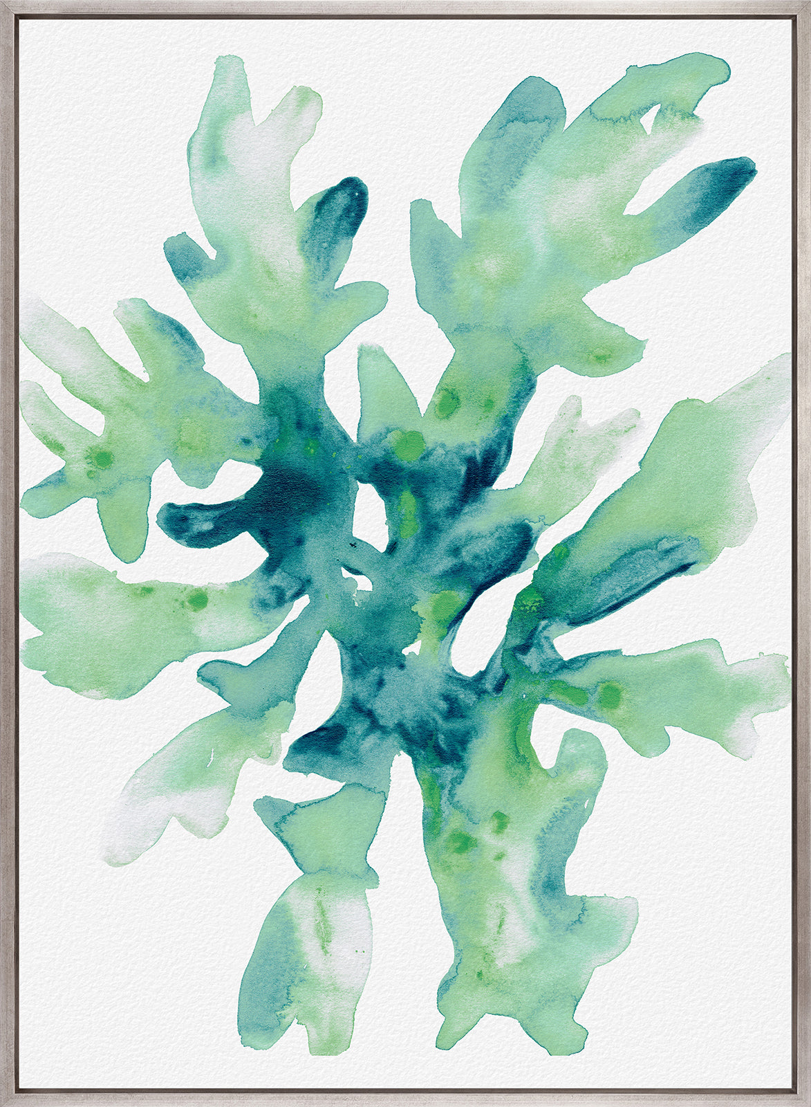 Sea Life VI (Canvas)