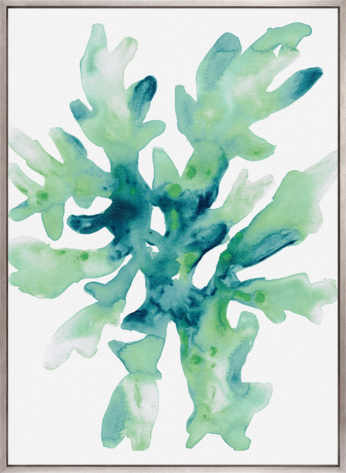 Sea Life VI (Canvas)