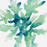 Sea Life VI (Canvas) Large (903mm W x 1109mm H)