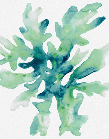 Sea Life VI (Canvas)