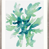 Sea Life VI