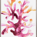 Sea Life VII (Canvas) Large (903mm W x 1109mm H)