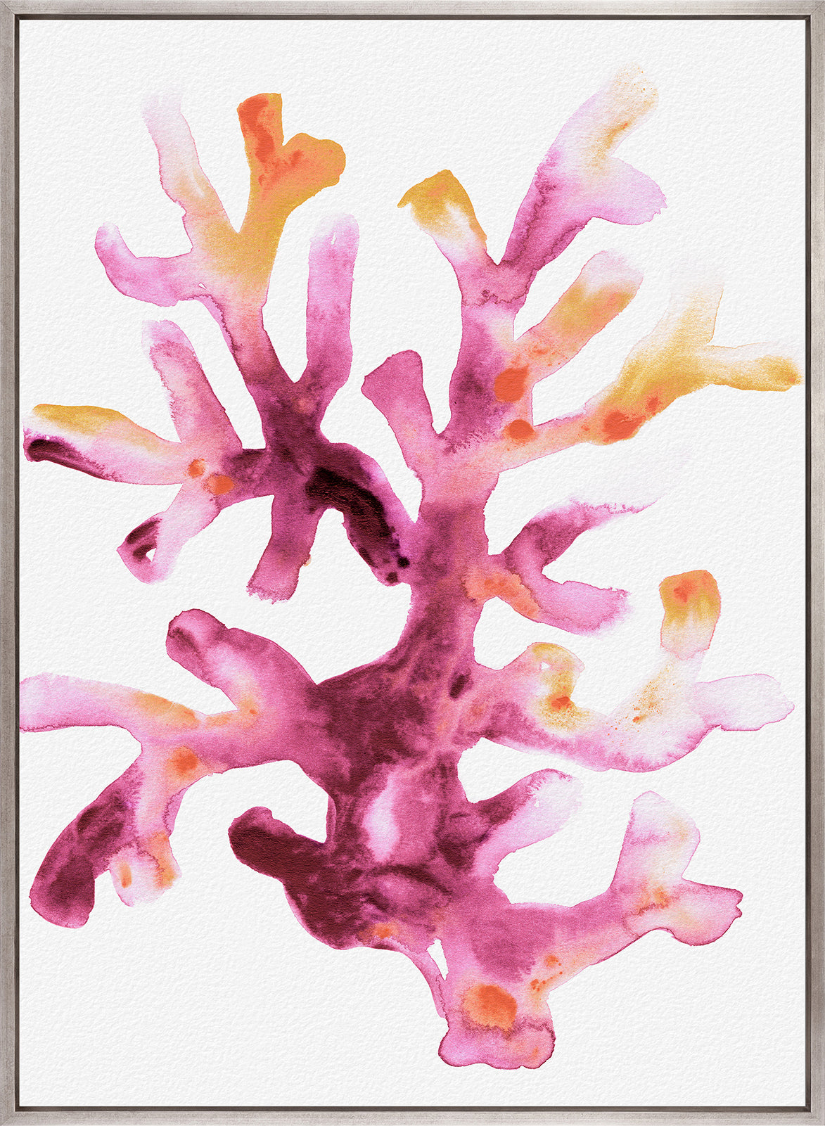 Sea Life VII (Canvas)