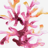 Sea Life VII (Canvas) Large (903mm W x 1109mm H)