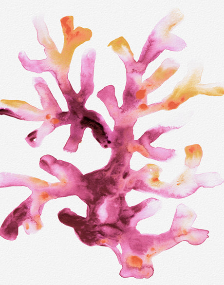 Sea Life VII (Canvas)