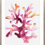 Sea Life VII