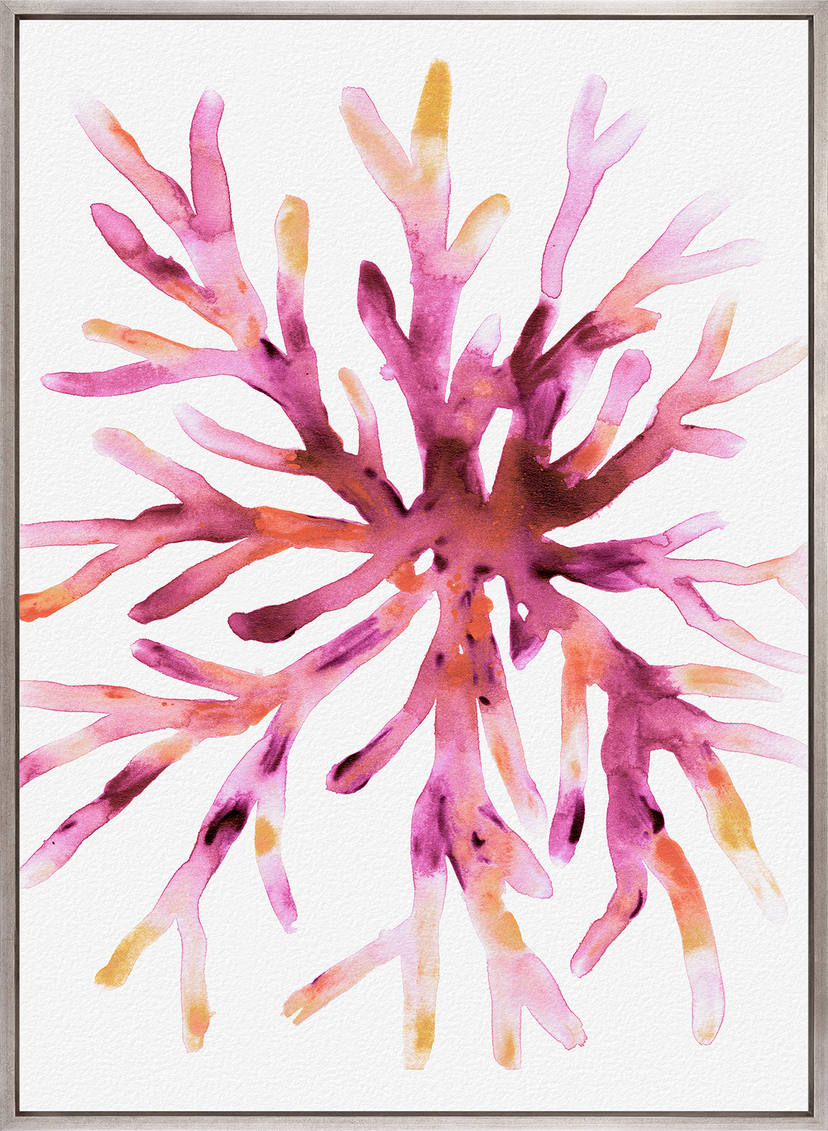 Sea Life VIII (Canvas)