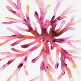 Sea Life VIII (Canvas) Large (903mm W x 1109mm H)