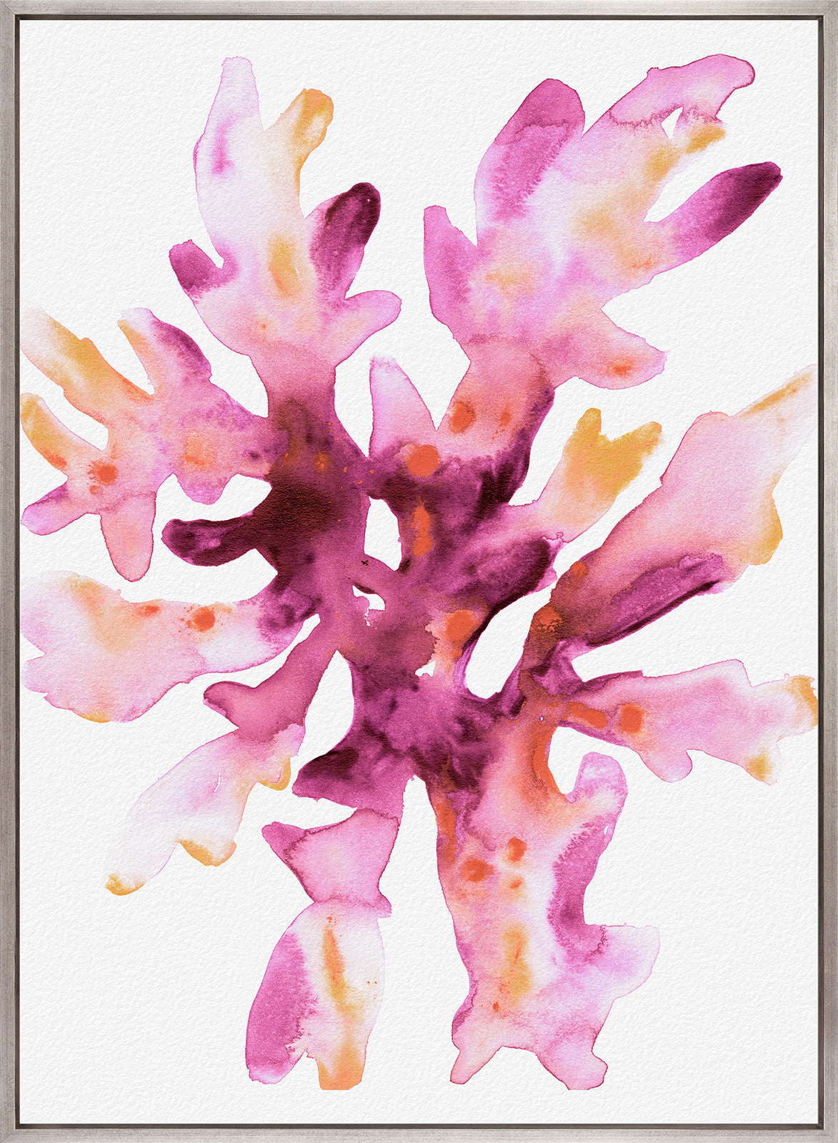 Sea Life IX (Canvas)