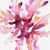 Sea Life IX (Canvas) Large (903mm W x 1109mm H)