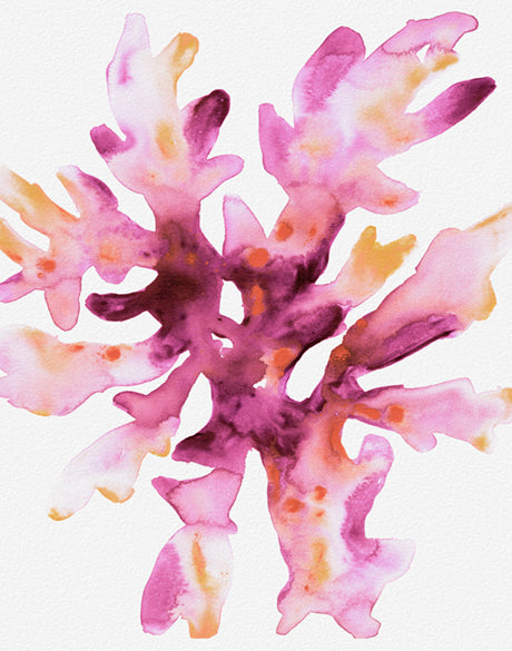 Sea Life IX (Canvas)