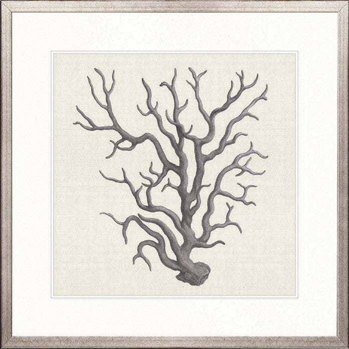 Natural Coral III