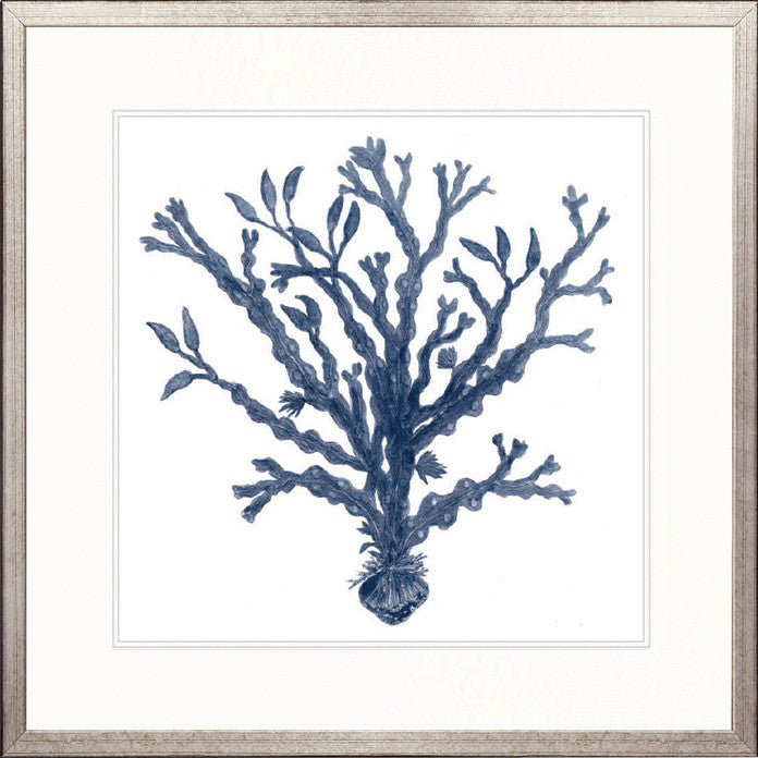 Natural Coral VII (Indigo)