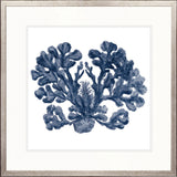 Natural Coral XI (Indigo)