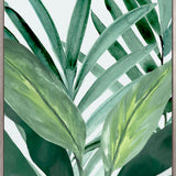 ShallaTropic I (Canvas) Large (903mm W x 1109mm H)