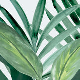 ShallaTropic I (Canvas) Large (903mm W x 1109mm H)