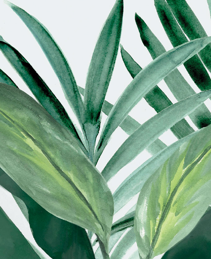 ShallaTropic I (Canvas)