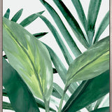 ShallaTropic II (Canvas) Large (903mm W x 1109mm H)