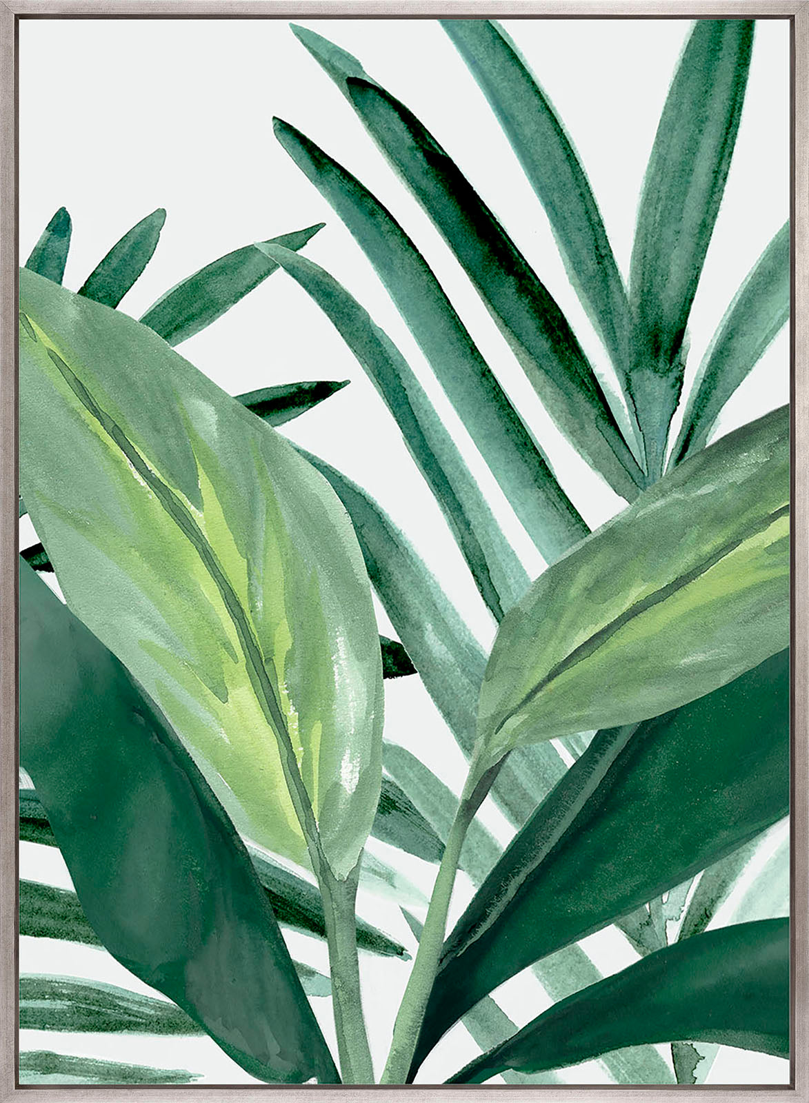 ShallaTropic II (Canvas)