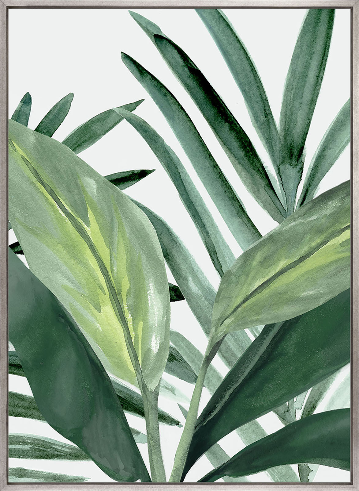 ShallaTropic II (Canvas)