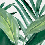 ShallaTropic II (Canvas) Large (903mm W x 1109mm H)