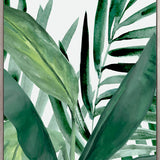 ShallaTropic III (Canvas) Large (903mm W x 1109mm H)